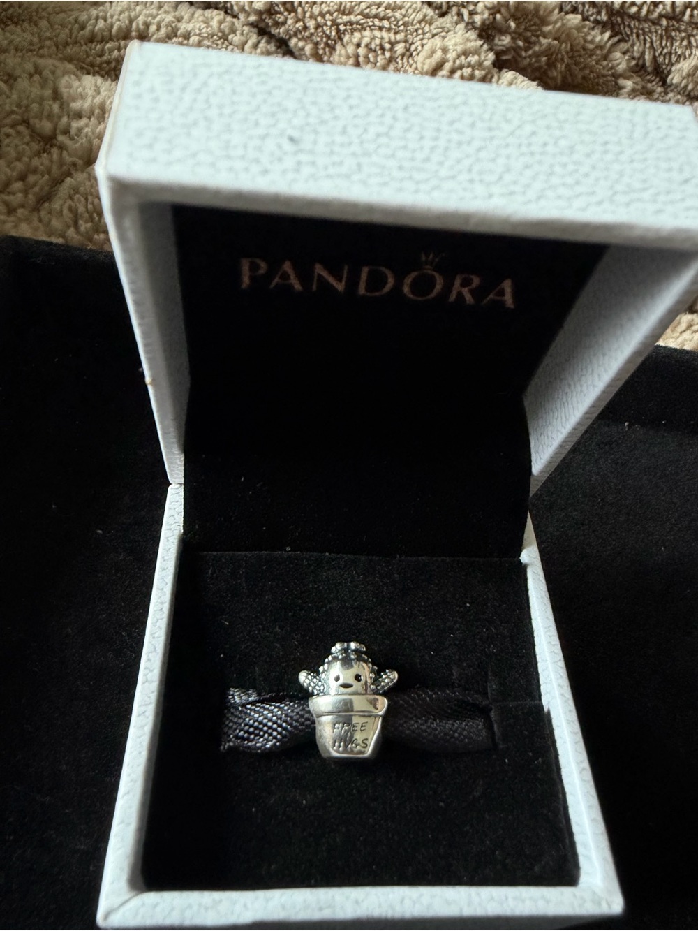 Pandora Silver Cactus in Pot Charm - Silver